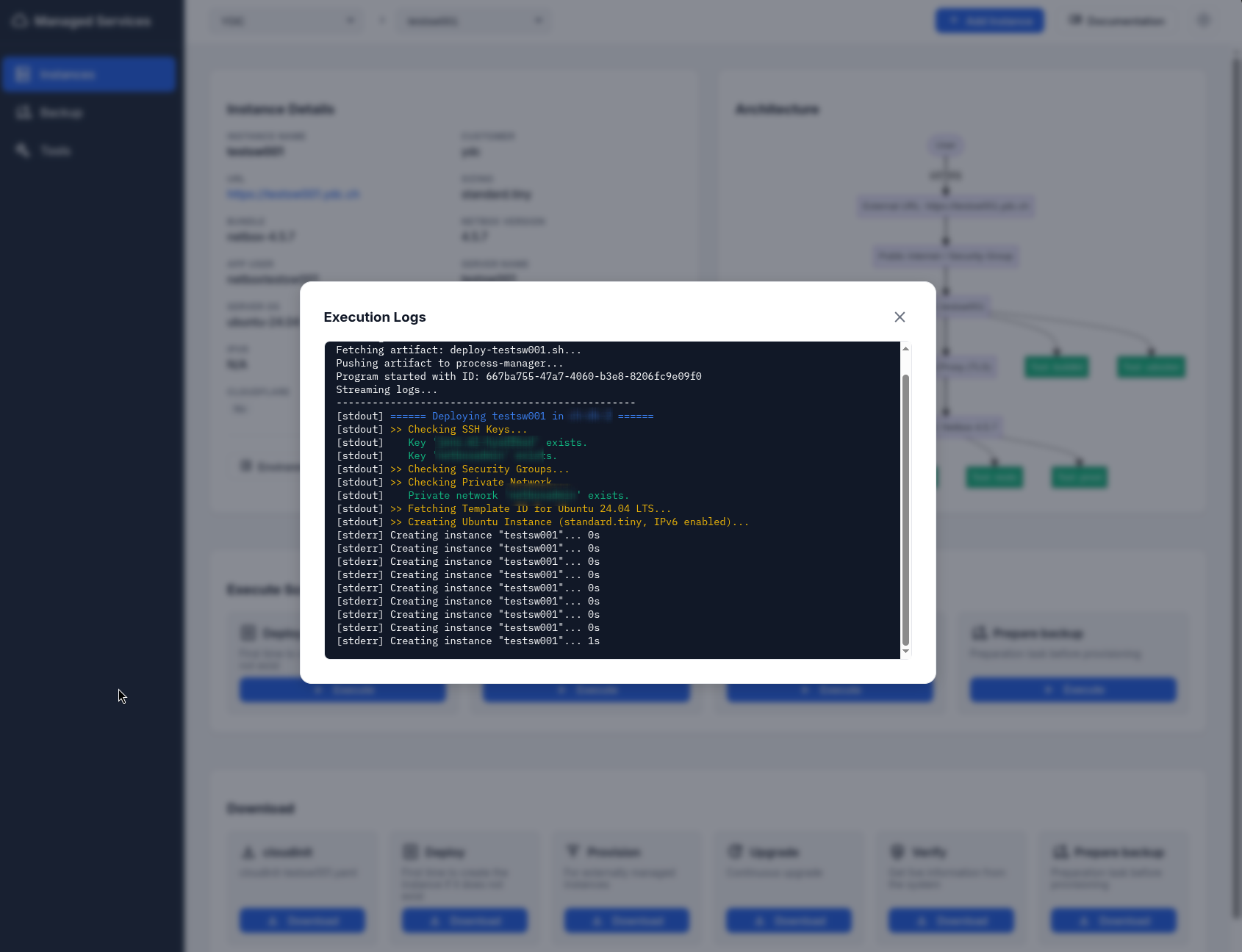 Execution screenshot